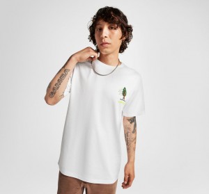 Converse All Star Tree T-shirt Weiß | 2160-TQGDN