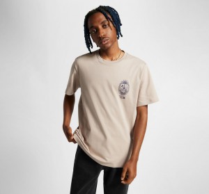 Converse Chess League Graphic T-Shirt Wonder Stone | 9738-DOHXZ