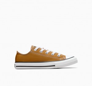Converse Chuck Taylor All Star Excess Materials Dunkelweiß Schwarz | 9415-ONAJG